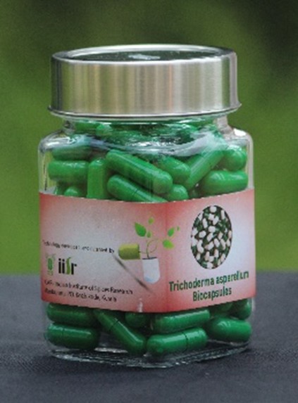 Encapsulated Trichoderma asperellum